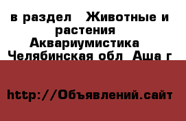  в раздел : Животные и растения » Аквариумистика . Челябинская обл.,Аша г.
